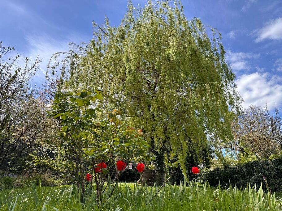 *countryside In Town * Close To Paris* * Chaville